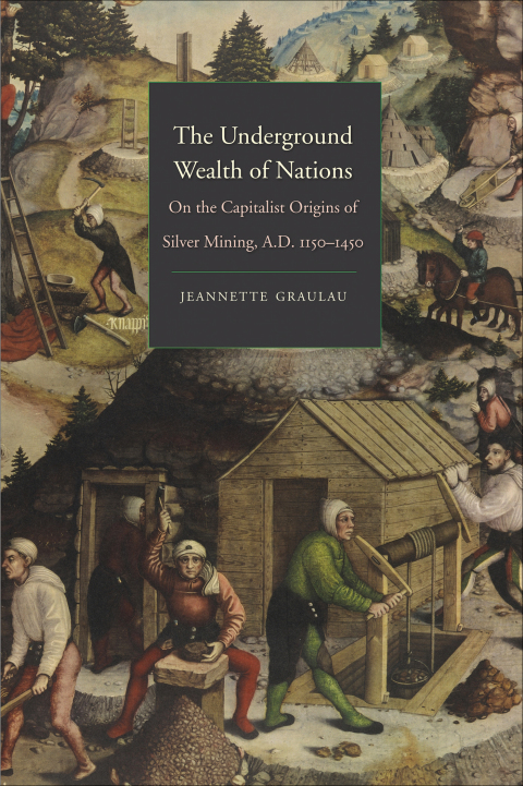 Cover image for book The Underground Wealth of Nations