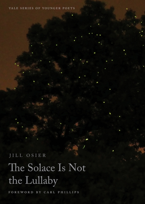Cover image for book The Solace Is Not the Lullaby