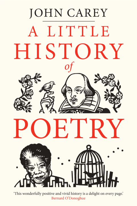 Cover image for book A Little History of Poetry