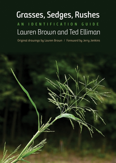 Cover image for book Grasses, Sedges, Rushes