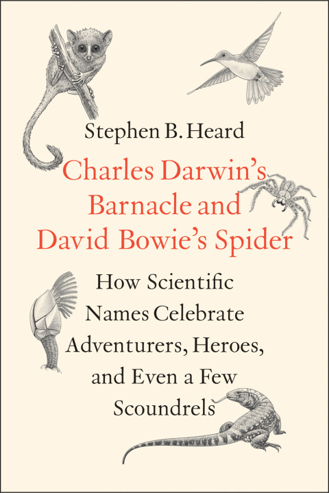 Cover image for book Charles Darwin’s Barnacle and David Bowie’s Spider