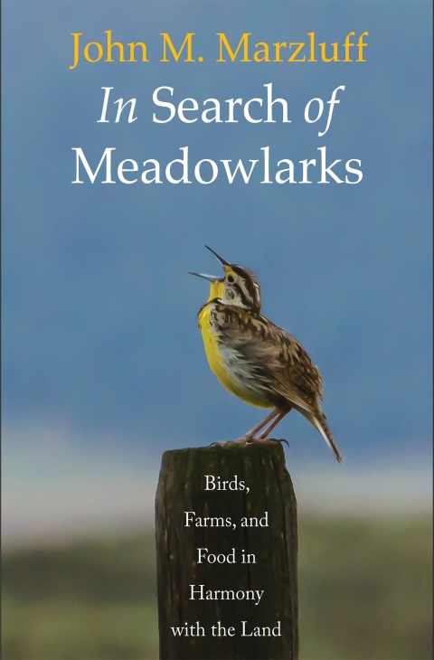 Cover image for book In Search of Meadowlarks