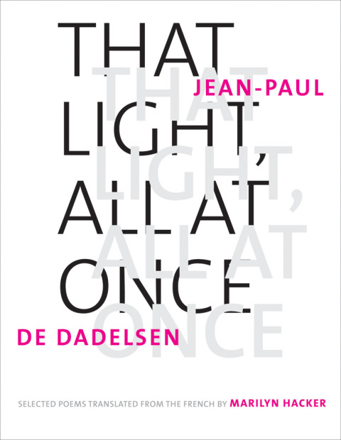 Cover image for book That Light, All at Once
