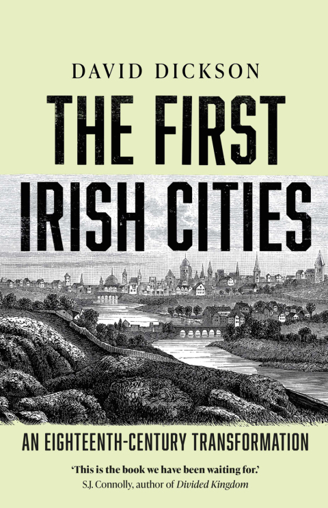 Cover image for book The First Irish Cities