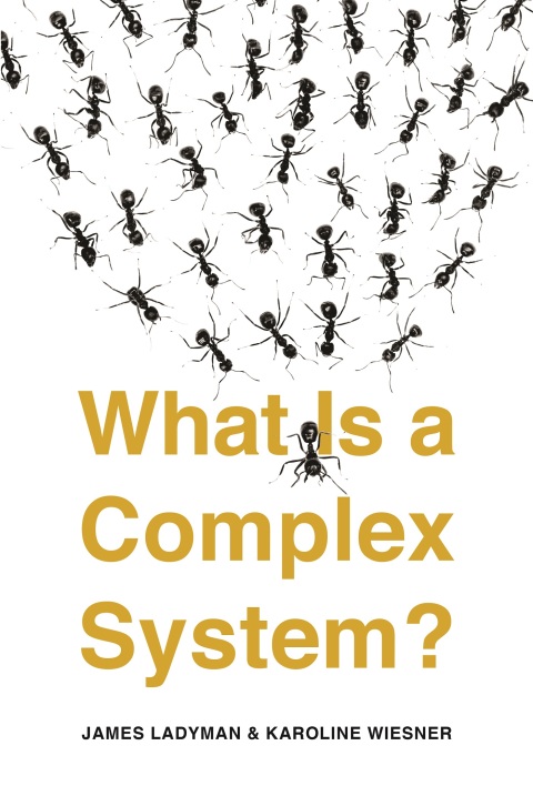 Cover image for book What Is a Complex System?