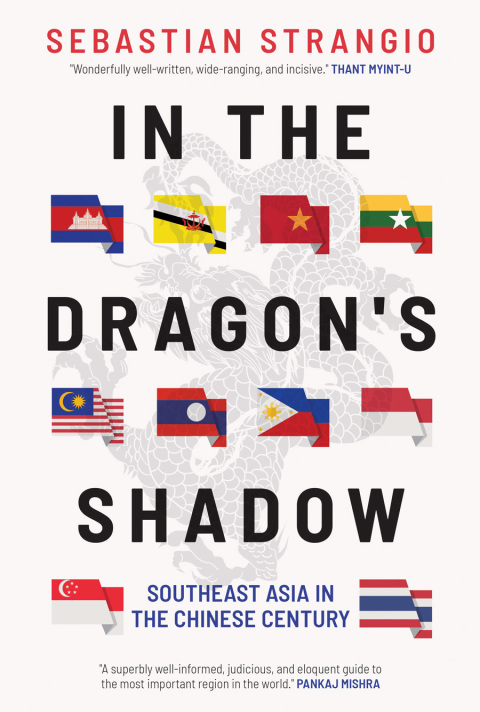 Cover image for book In the Dragon's Shadow