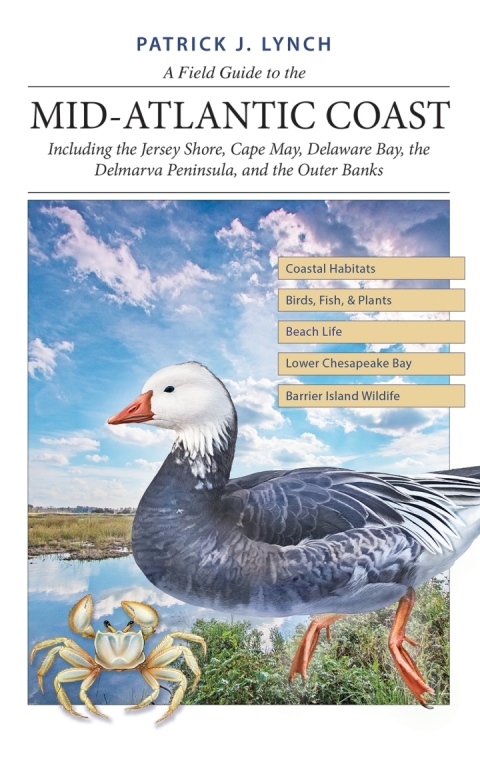 Cover image for book A Field Guide to the Mid-Atlantic Coast