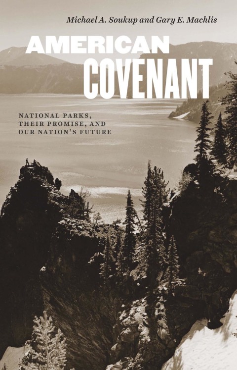 Cover image for book American Covenant