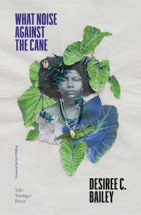 Cover image: What Noise Against the Cane 9780300256536