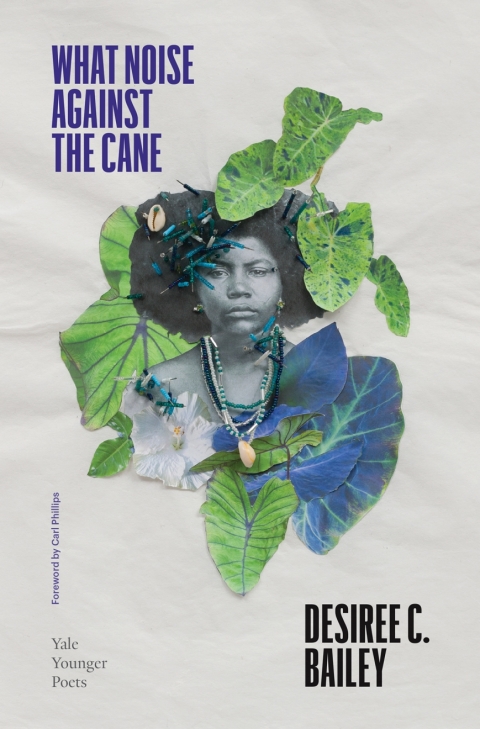 Cover image for book What Noise Against the Cane