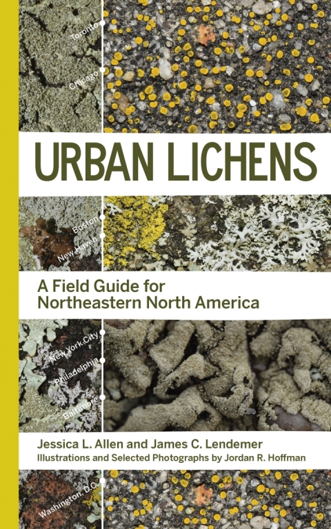 Cover image for book Urban Lichens