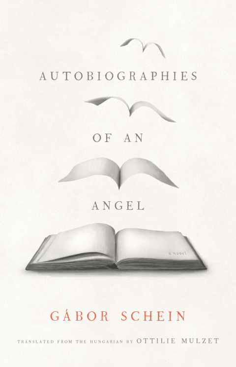 Cover image for book Autobiographies of an Angel