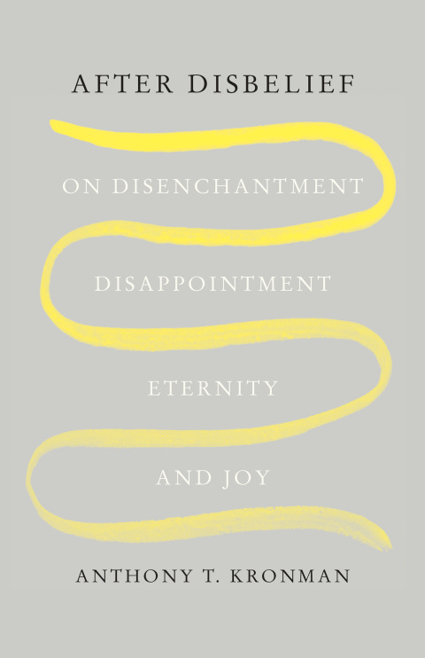 Cover image for book After Disbelief
