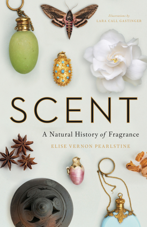 Cover image for book Scent