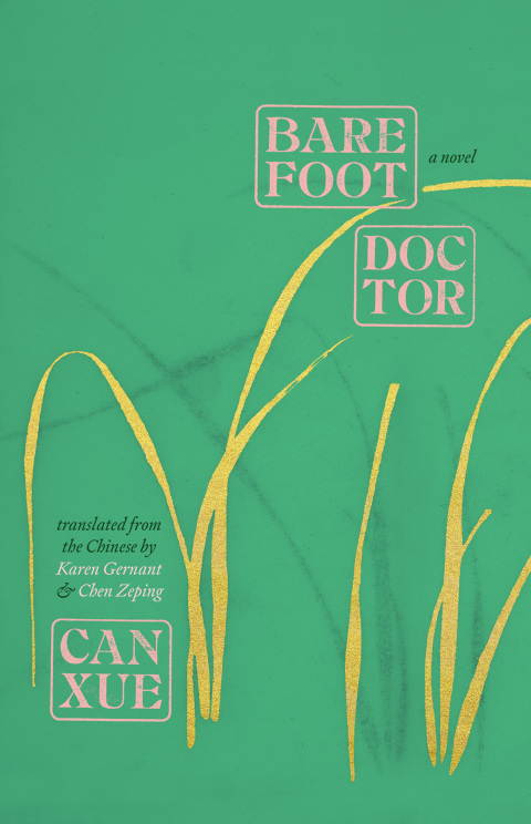 Cover image for book Barefoot Doctor
