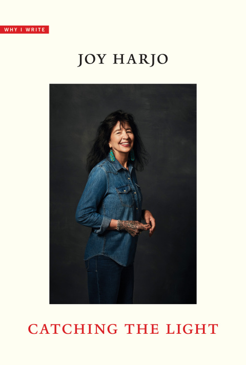 Cover image for book Catching the Light