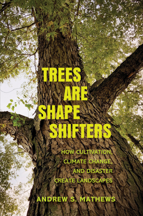 Cover image for book Trees Are Shape Shifters