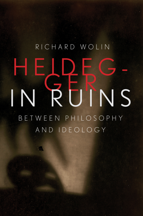 Cover image for book Heidegger in Ruins