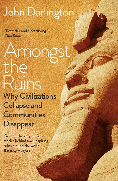 Cover image for book Amongst the Ruins
