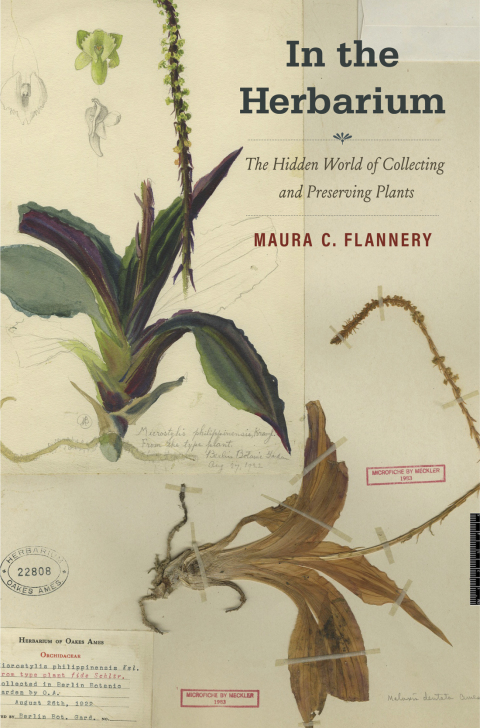 Cover image for book In the Herbarium