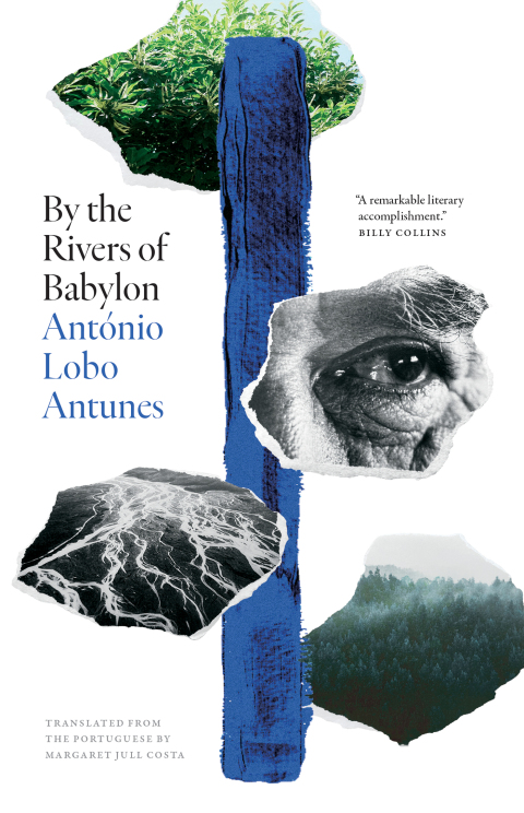 Cover image for book By the Rivers of Babylon