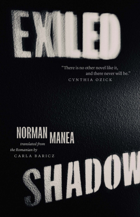 Cover image for book Exiled Shadow
