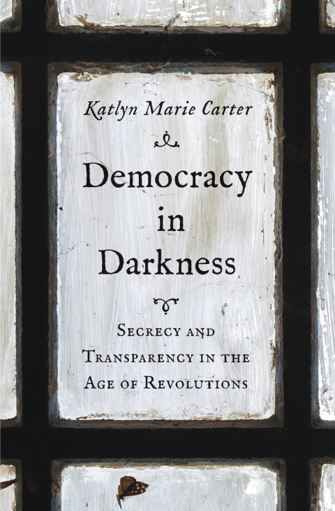 Cover image for book Democracy in Darkness