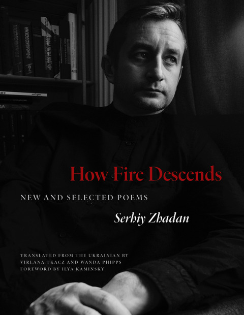 Cover image for book How Fire Descends