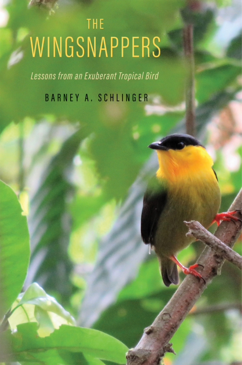 Cover image for book The Wingsnappers