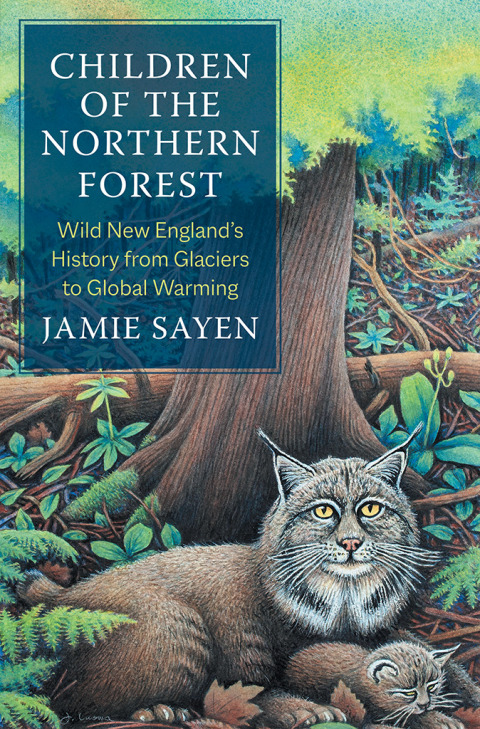 Cover image for book Children of the Northern Forest