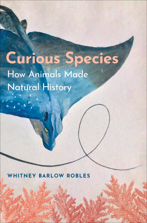 Cover image for book Curious Species