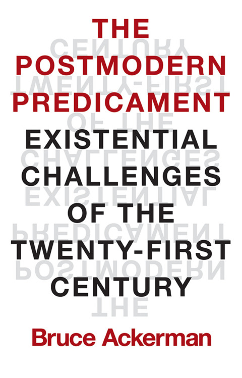 Cover image for book The Postmodern Predicament