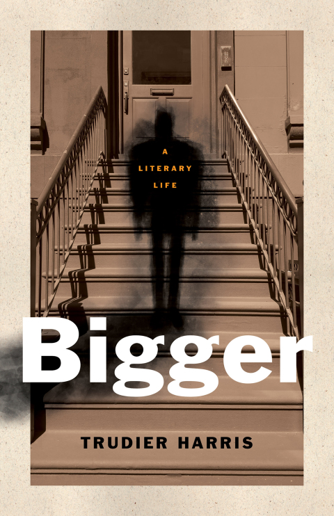 Cover image for book Bigger