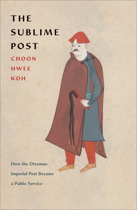 Cover image for book The Sublime Post