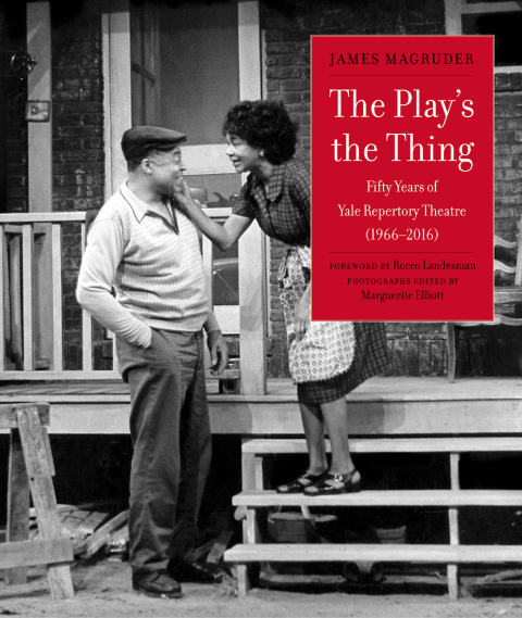 Cover image for book The Play's the Thing