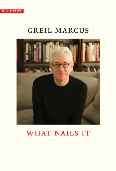 Cover image for book What Nails It