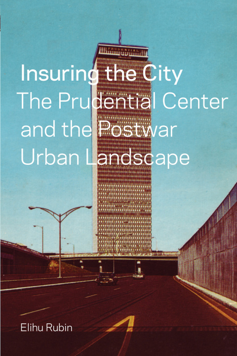 Cover image for book Insuring the City