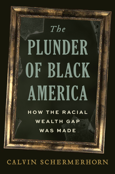 Cover image for book The Plunder of Black America