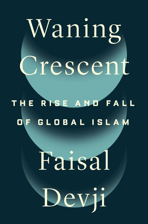 Cover image for book Waning Crescent