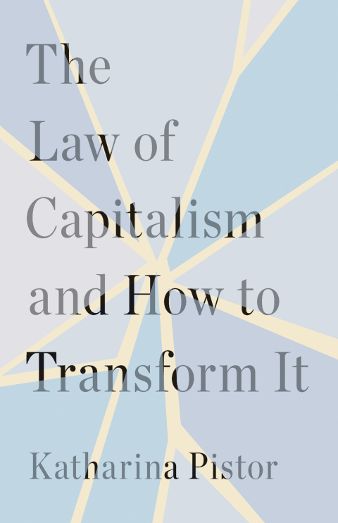 Cover image for book The Law of Capitalism and How to Transform It