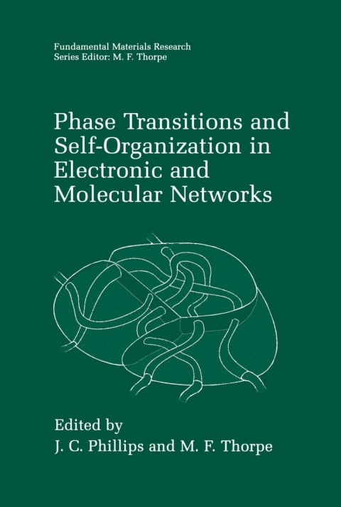 Cover image for book Phase Transitions and Self-Organization in Electronic and Molecular Networks