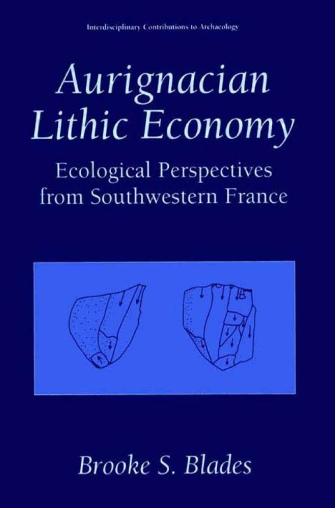 Cover image for book Aurignacian Lithic Economy