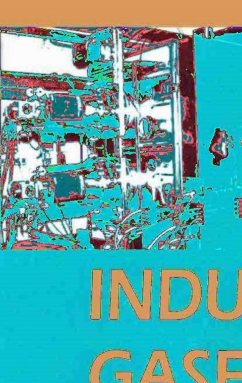 Cover image for book Industrial Gases