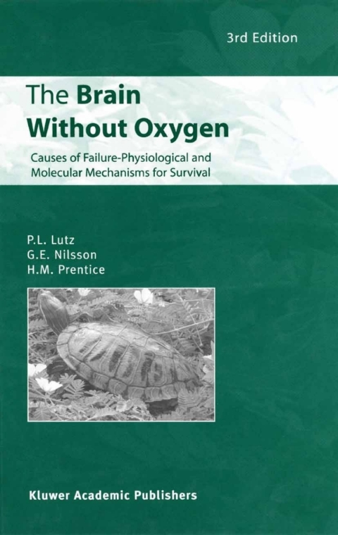 The Brain Without Oxygen 