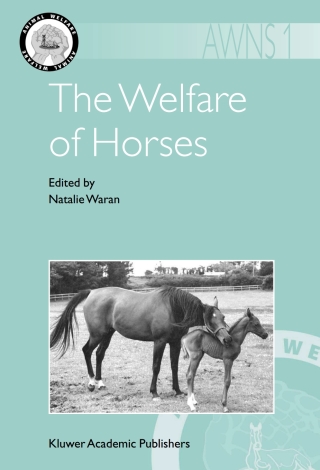 The Welfare of Horses