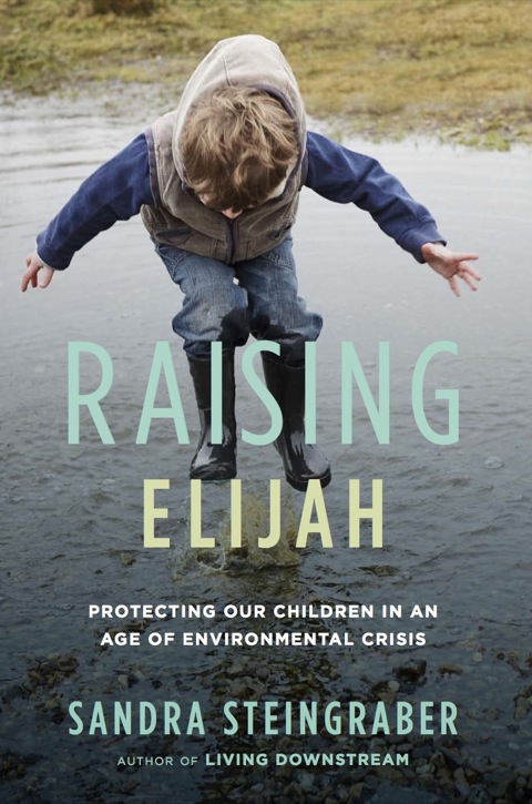 Cover image for book Raising Elijah