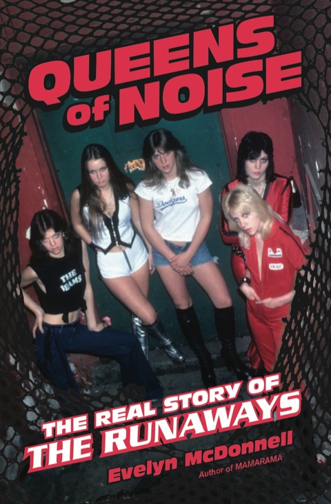 Cover image for book Queens of Noise