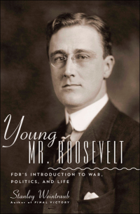 Cover image: Young Mr. Roosevelt 9780306822353