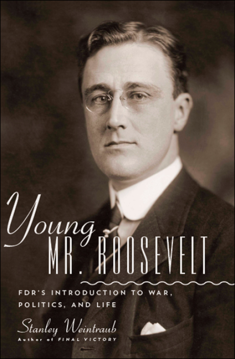 Cover image for book Young Mr. Roosevelt