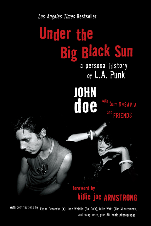 Cover image for book Under the Big Black Sun